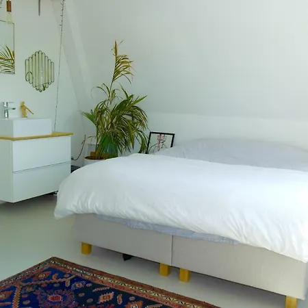 Living Cosy بيت للعطل *